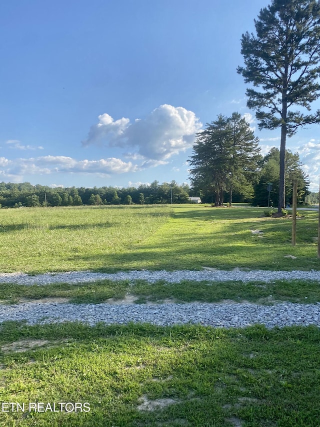 775 Genesis Rd, Lancing, TN 37770 - photo 18