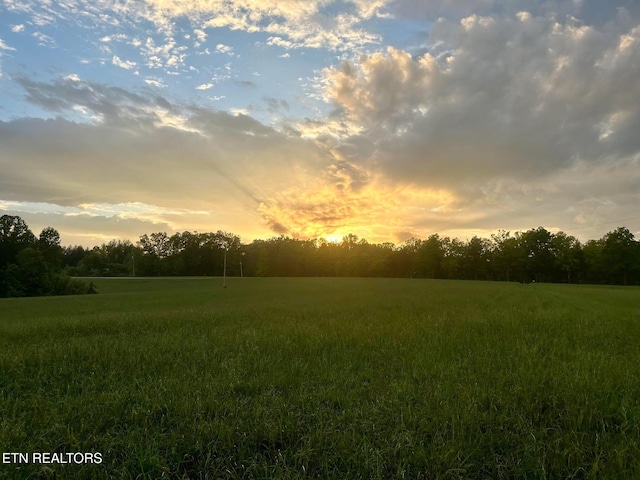 775 Genesis Rd, Lancing, TN 37770 - photo 20