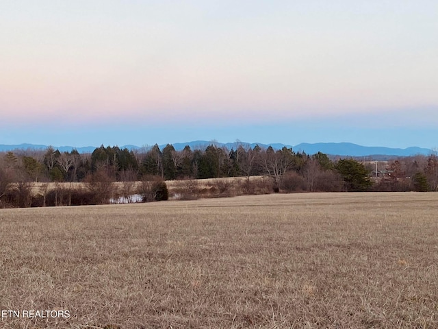 775 Genesis Rd, Lancing, TN 37770 - photo 21
