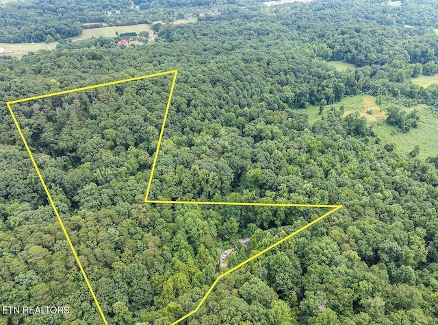 3952 Blazier Rd, Rockford, TN 37853 - photo 8