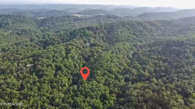 3952 Blazier Rd, Rockford, TN 37853 - photo 7