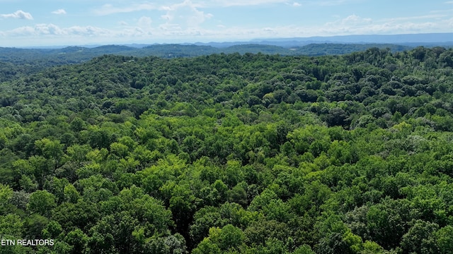 0 County Road 675, Riceville, TN 37370 - photo 16