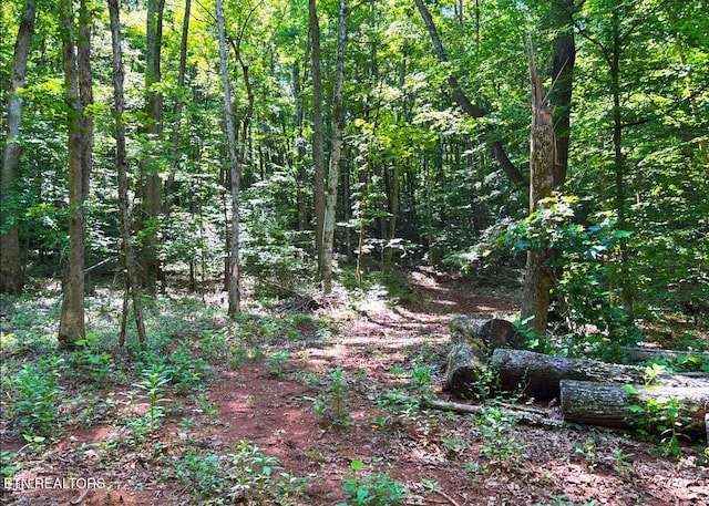 0 County Road 675, Riceville, TN 37370 - photo 11