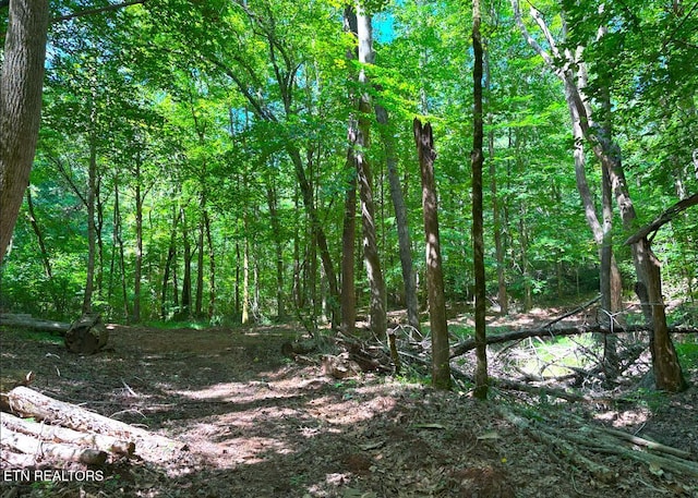 0 County Road 675, Riceville, TN 37370 - photo 14