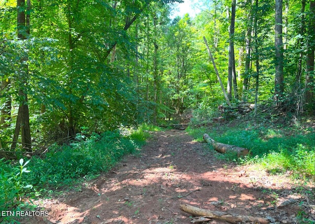 0 County Road 675, Riceville, TN 37370 - photo 15