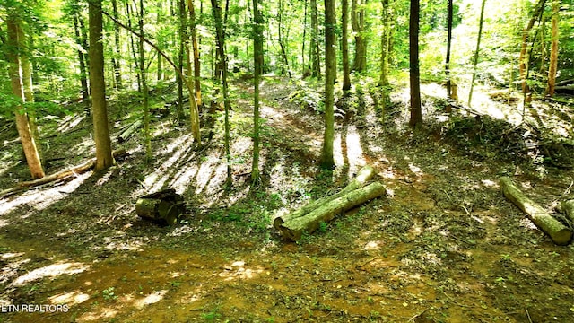 0 County Road 675, Riceville, TN 37370 - photo 7