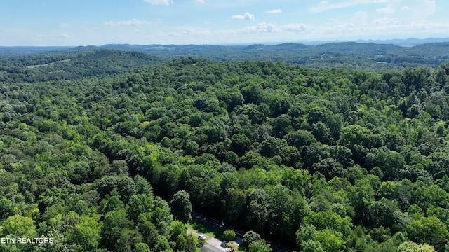 0 County Road 675, Riceville, TN 37370 - photo 5