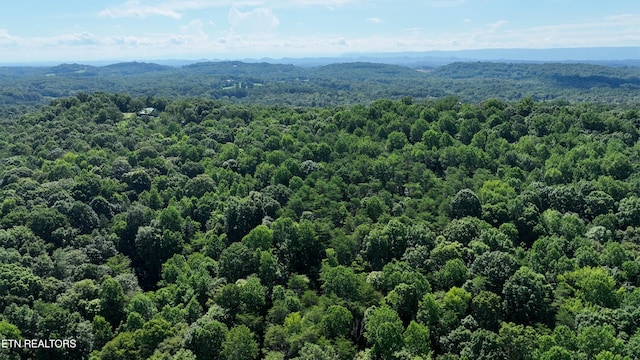 0 County Road 675, Riceville, TN 37370 - photo 4