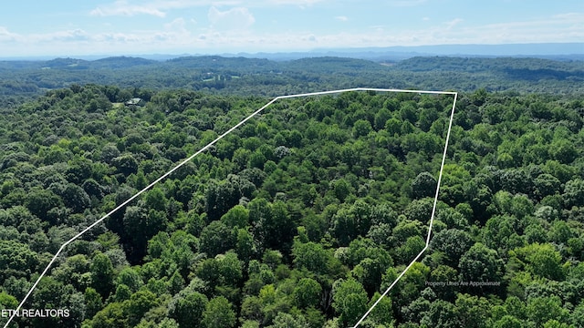 0 County Road 675, Riceville, TN 37370 - photo 3