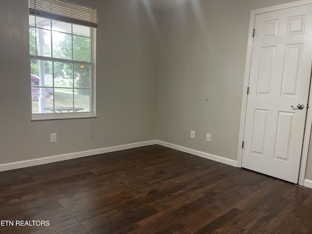8025 Phyllis Ln, Knoxville, TN 37938 - photo 13