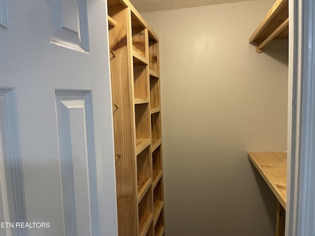 8025 Phyllis Ln, Knoxville, TN 37938 - photo 16