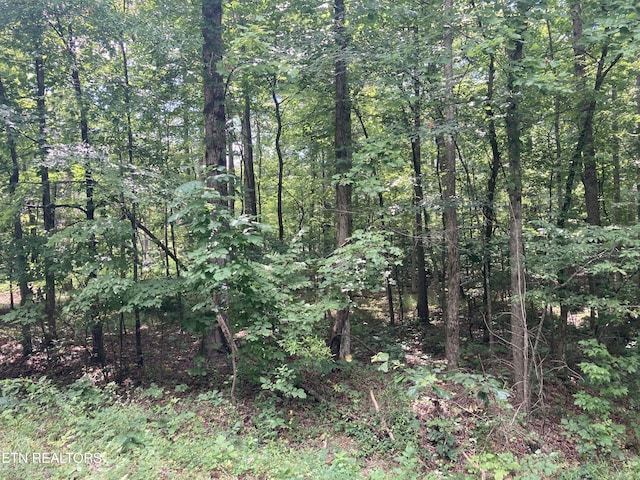 LOT1069 Iron Gate Dr, Baneberry, TN 37890 - photo 12