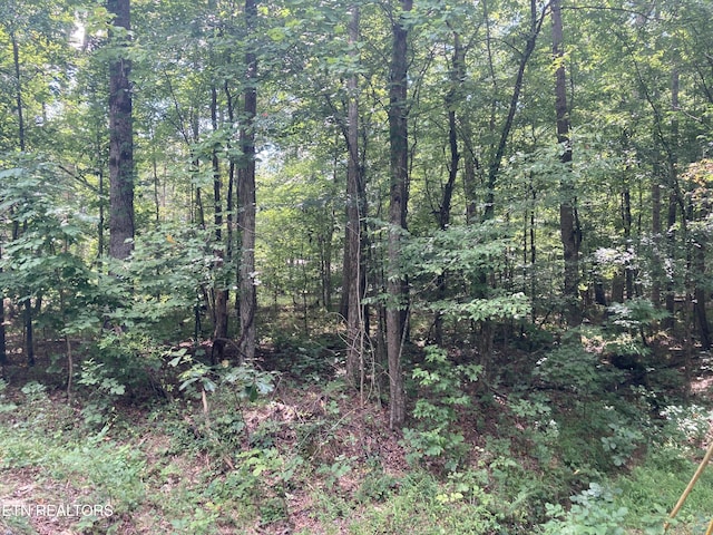 LOT1069 Iron Gate Dr, Baneberry, TN 37890 - photo 13