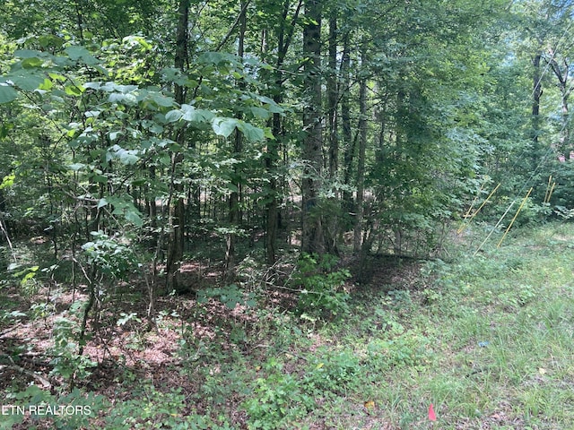 LOT1069 Iron Gate Dr, Baneberry, TN 37890 - photo 8