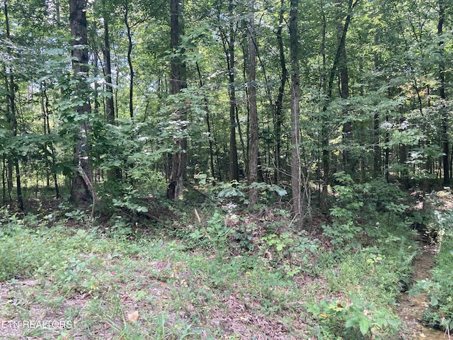 LOT1069 Iron Gate Dr, Baneberry, TN 37890 - photo 11