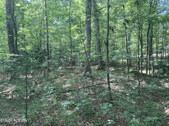 LOT1069 Iron Gate Dr, Baneberry, TN 37890 - photo 10