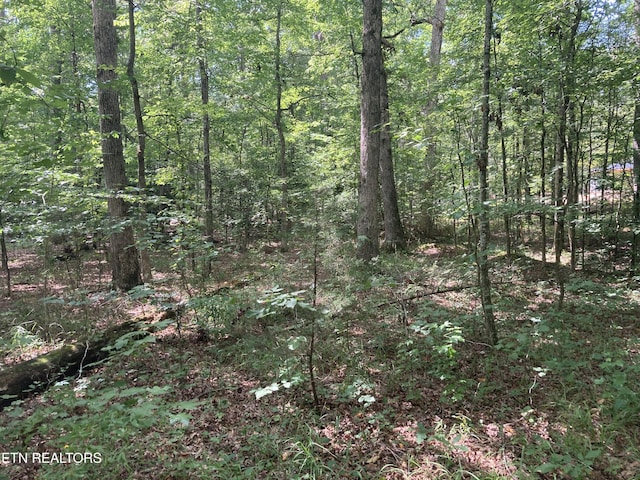 LOT1069 Iron Gate Dr, Baneberry, TN 37890 - photo 9