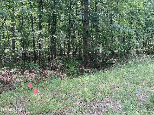 LOT1069 Iron Gate Dr, Baneberry, TN 37890 - photo 7