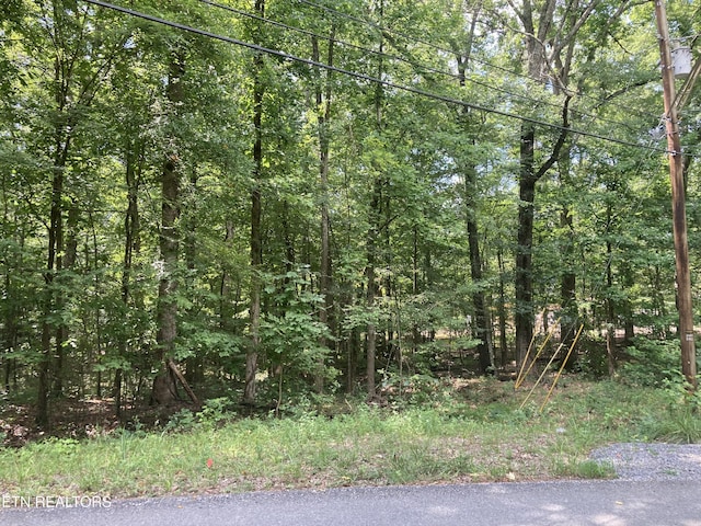 LOT1069 Iron Gate Dr, Baneberry, TN 37890 - photo 4