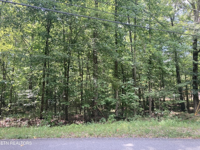LOT1069 Iron Gate Dr, Baneberry, TN 37890 - photo 6