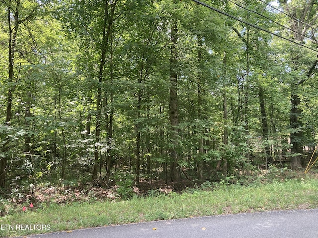LOT1069 Iron Gate Dr, Baneberry, TN 37890 - photo 5