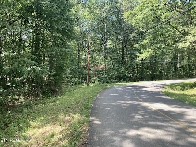 LOT1069 Iron Gate Dr, Baneberry, TN 37890 - photo 3