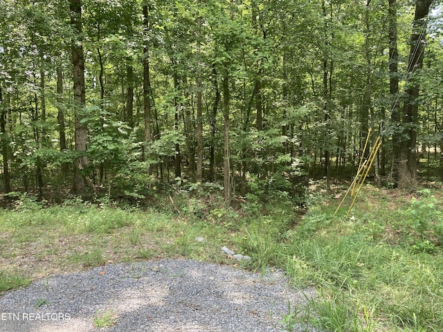 LOT1069 Iron Gate Dr, Baneberry, TN 37890 - photo 14