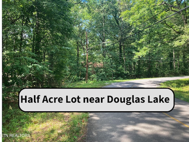 LOT1069 Iron Gate Dr, Baneberry, TN 37890 - photo 1