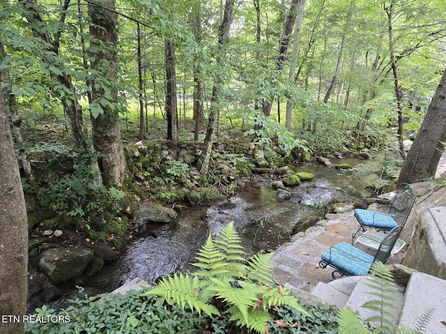 4229 E E Pkwy, Lot Gatlinburg, TN 37738 - photo 10
