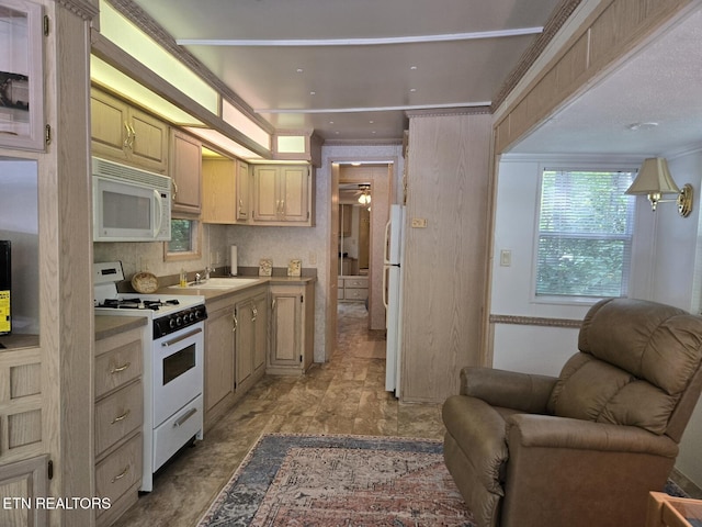 4229 E E Pkwy, Lot Gatlinburg, TN 37738 - photo 17