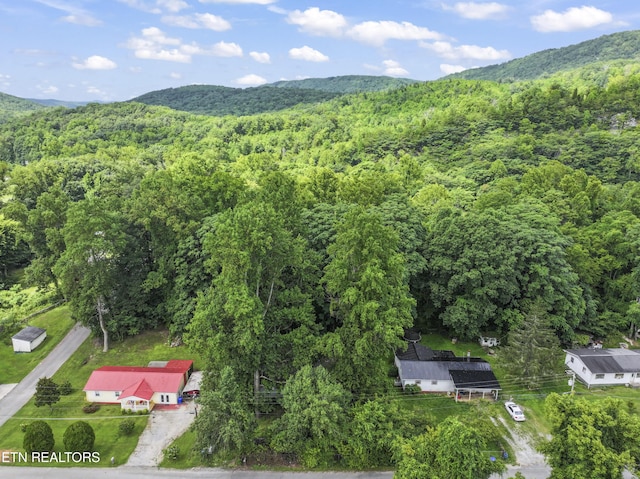 772 Clymersville Rd, Rockwood, TN 37854 - photo 22