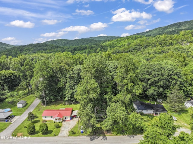 772 Clymersville Rd, Rockwood, TN 37854 - photo 28