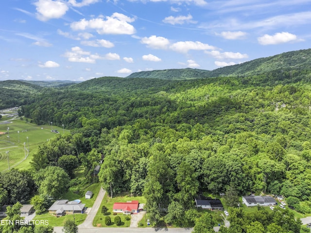 772 Clymersville Rd, Rockwood, TN 37854 - photo 29