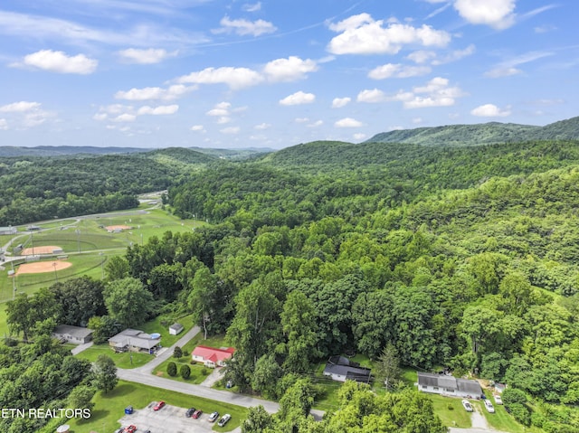 772 Clymersville Rd, Rockwood, TN 37854 - photo 30