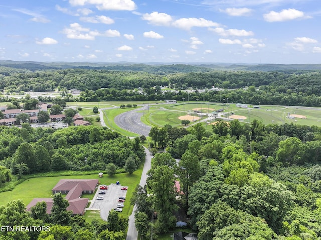772 Clymersville Rd, Rockwood, TN 37854 - photo 31