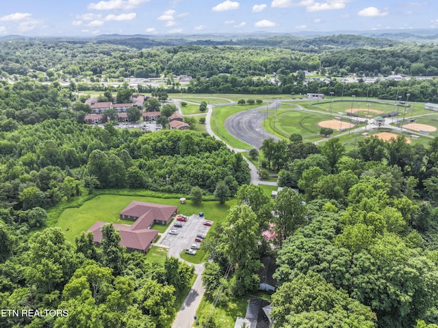 772 Clymersville Rd, Rockwood, TN 37854 - photo 32