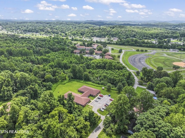 772 Clymersville Rd, Rockwood, TN 37854 - photo 33