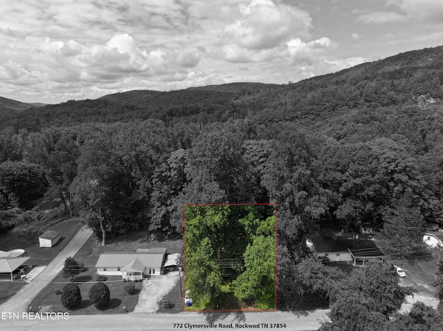 772 Clymersville Rd, Rockwood, TN 37854 - photo 34