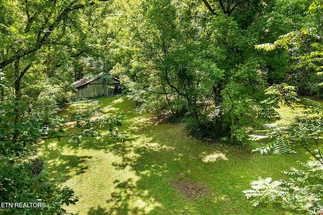 3950 Poplar Grove Rd, Cookeville, TN 38506 - photo 3
