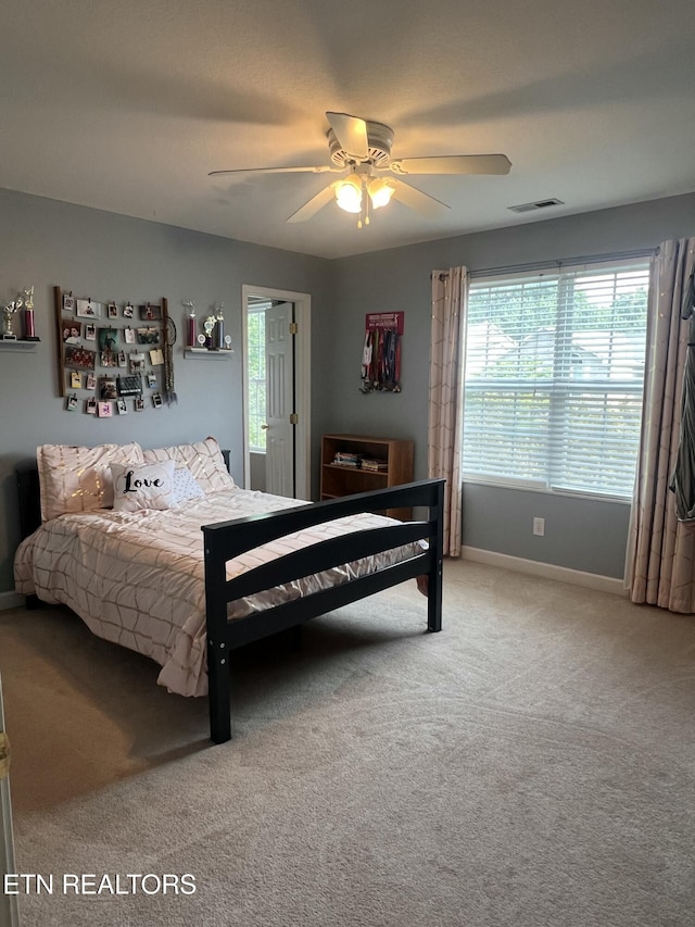 253 Country Walk Dr, Powell, TN 37849 - photo 23
