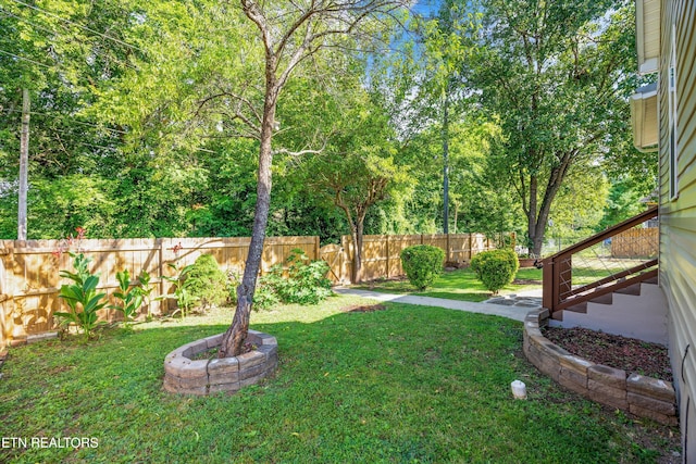 406 SW Mayfield Ave, Knoxville, TN 37920 - photo 3