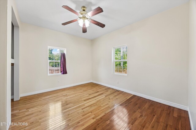 406 SW Mayfield Ave, Knoxville, TN 37920 - photo 8