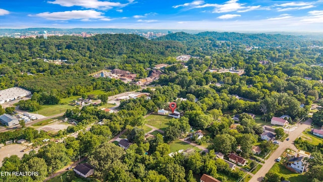 406 SW Mayfield Ave, Knoxville, TN 37920 - photo 35