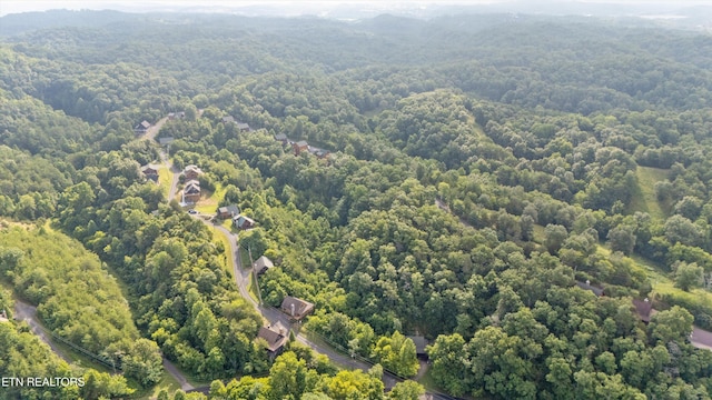 Wingspan Dr, Sevierville, TN 37862 - photo 13