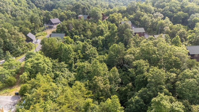 Wingspan Dr, Sevierville, TN 37862 - photo 16