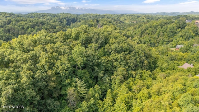 Wingspan Dr, Sevierville, TN 37862 - photo 17
