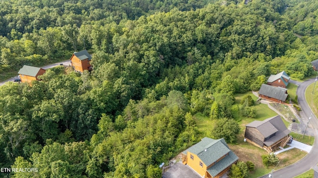 Wingspan Dr, Sevierville, TN 37862 - photo 18