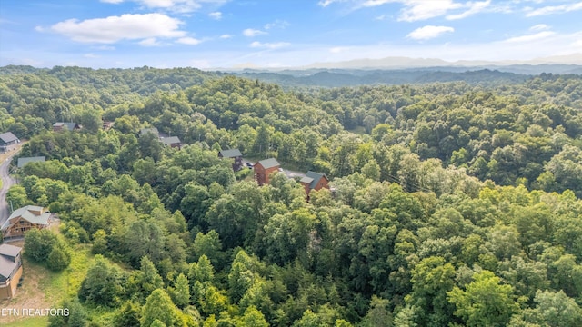 Wingspan Dr, Sevierville, TN 37862 - photo 19