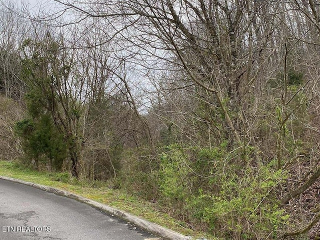 Wingspan Dr, Sevierville, TN 37862 - photo 5