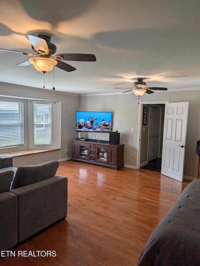 4301 Mckamey Rd, Knoxville, TN 37921 - photo 19